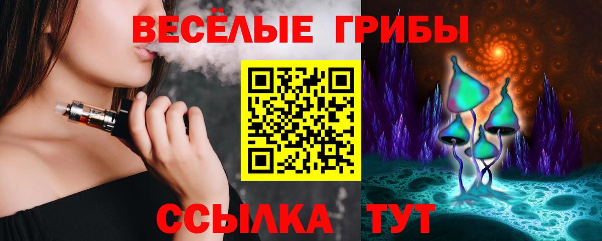 Псилоцибиновые грибы мицелий Кондопога
